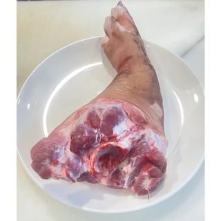 工學生鮮肉類 前腿豬腳 滷肉 1.5公斤280元 5份1300元