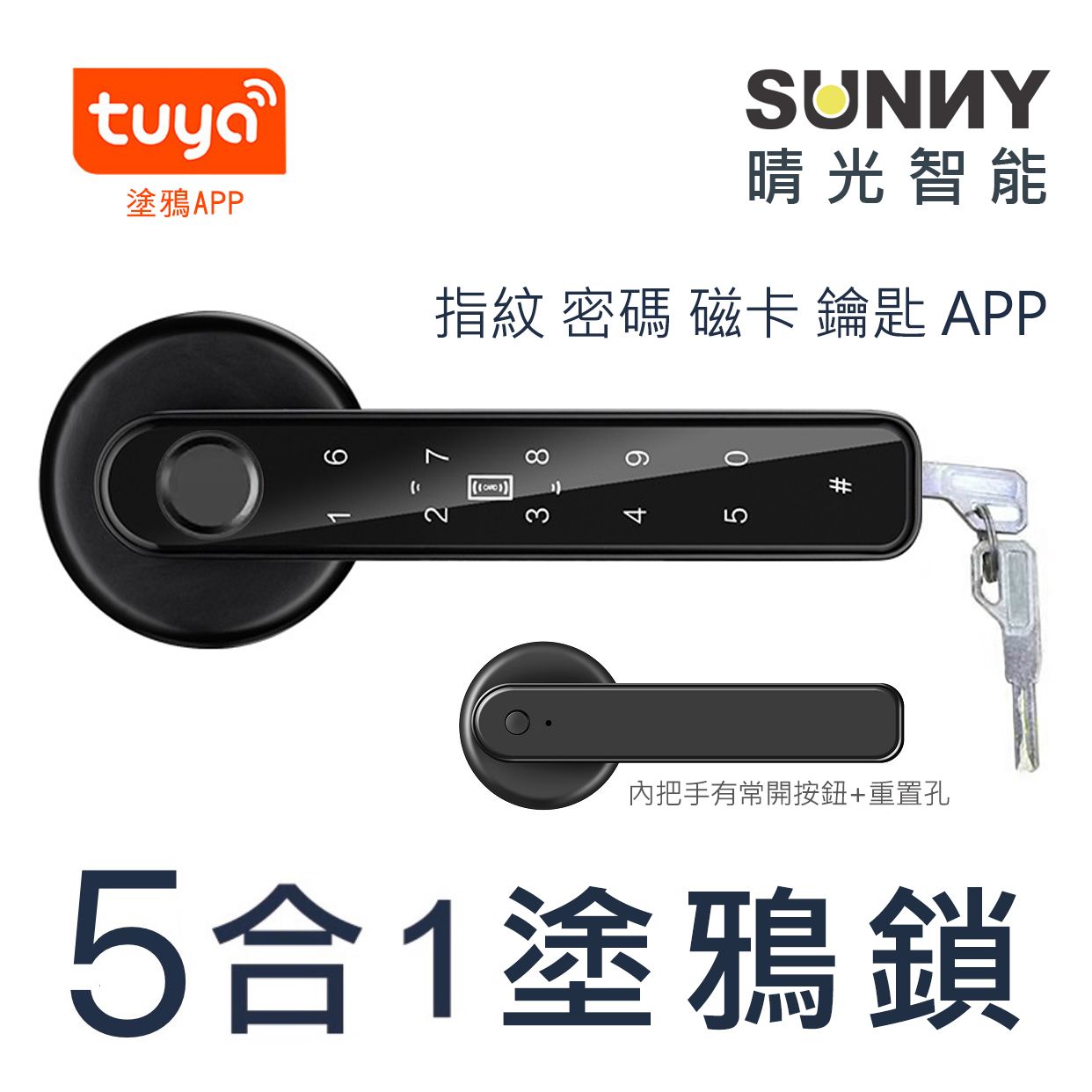 五合一塗鴉鎖 指紋 密碼 磁卡 手機APP 鑰匙 喇叭鎖 房間門鎖 門鎖塗鴉 TUYA 辦公室指紋鎖 球形鎖 喇叭鎖 指