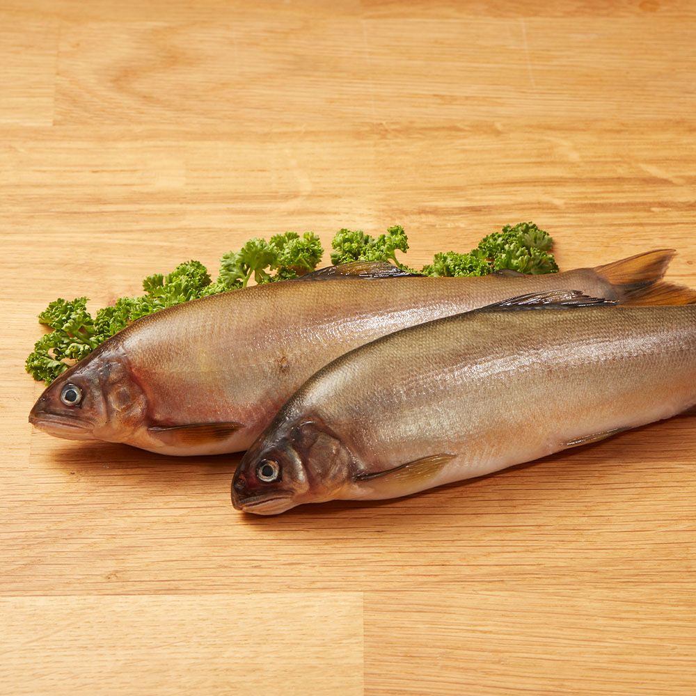 宜蘭冷泉養殖頂級公香魚