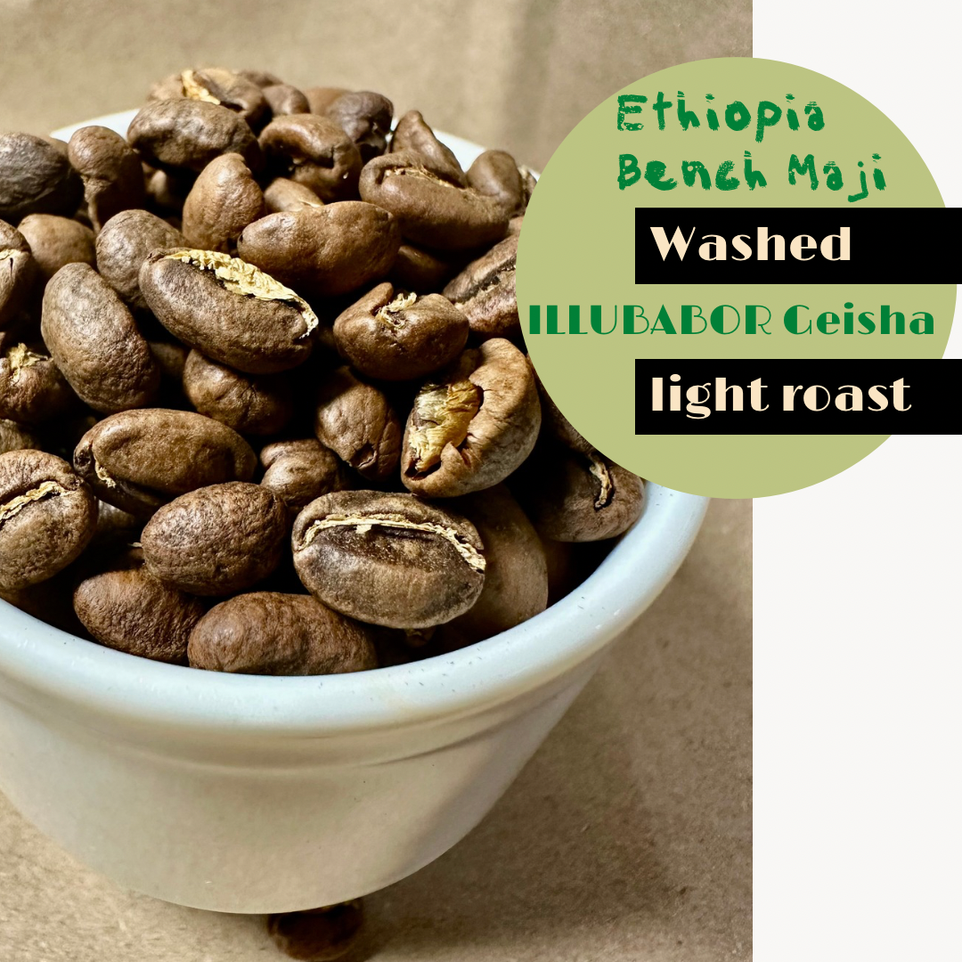 衣索比亞 班奇馬吉 伊魯森林 藝伎 /水洗處理/淺焙