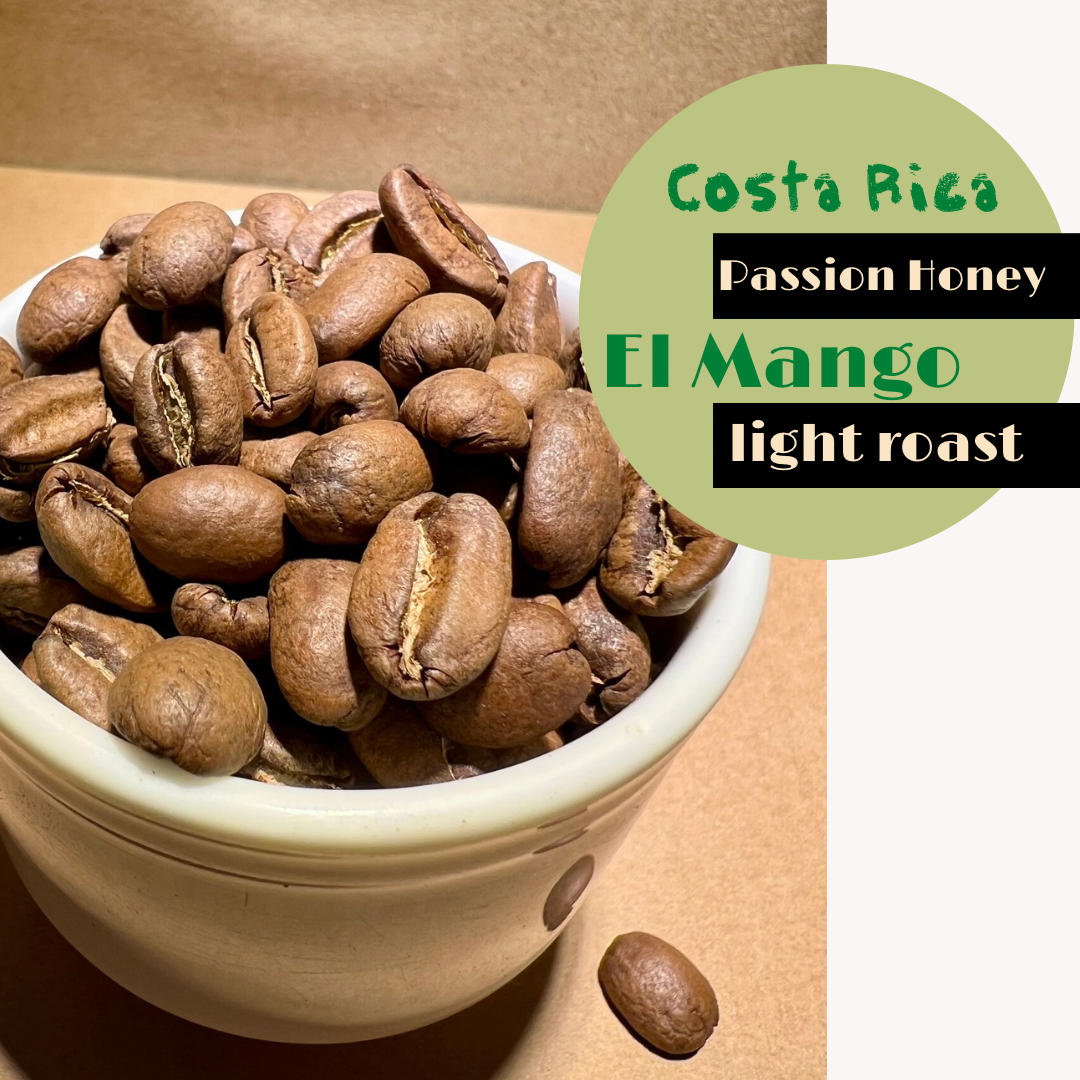 哥斯大黎加 布蘭卡 芒果莊園 /百香蜜處理/淺焙