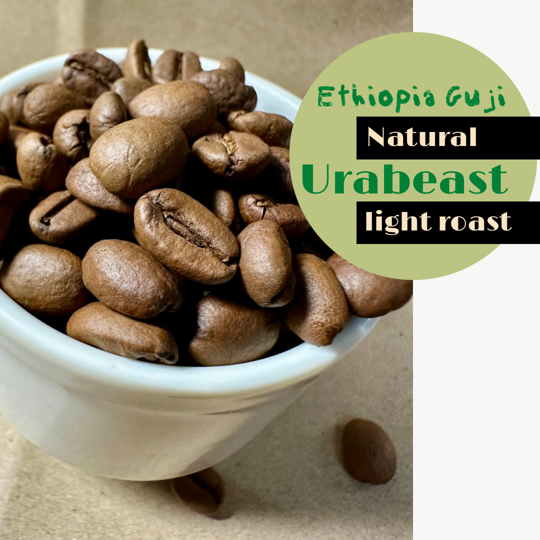 衣索比亞 古吉 獨角獸 水果浸漬 /日曬處理/淺焙