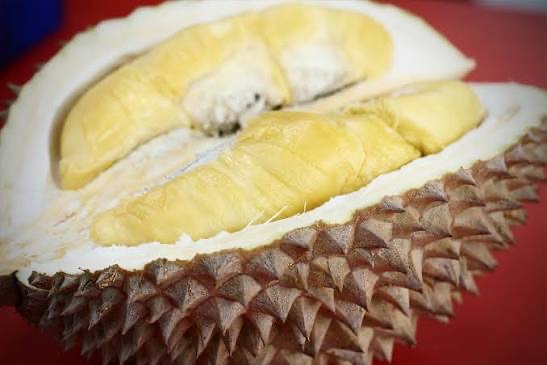 貓山王榴蓮乳酪