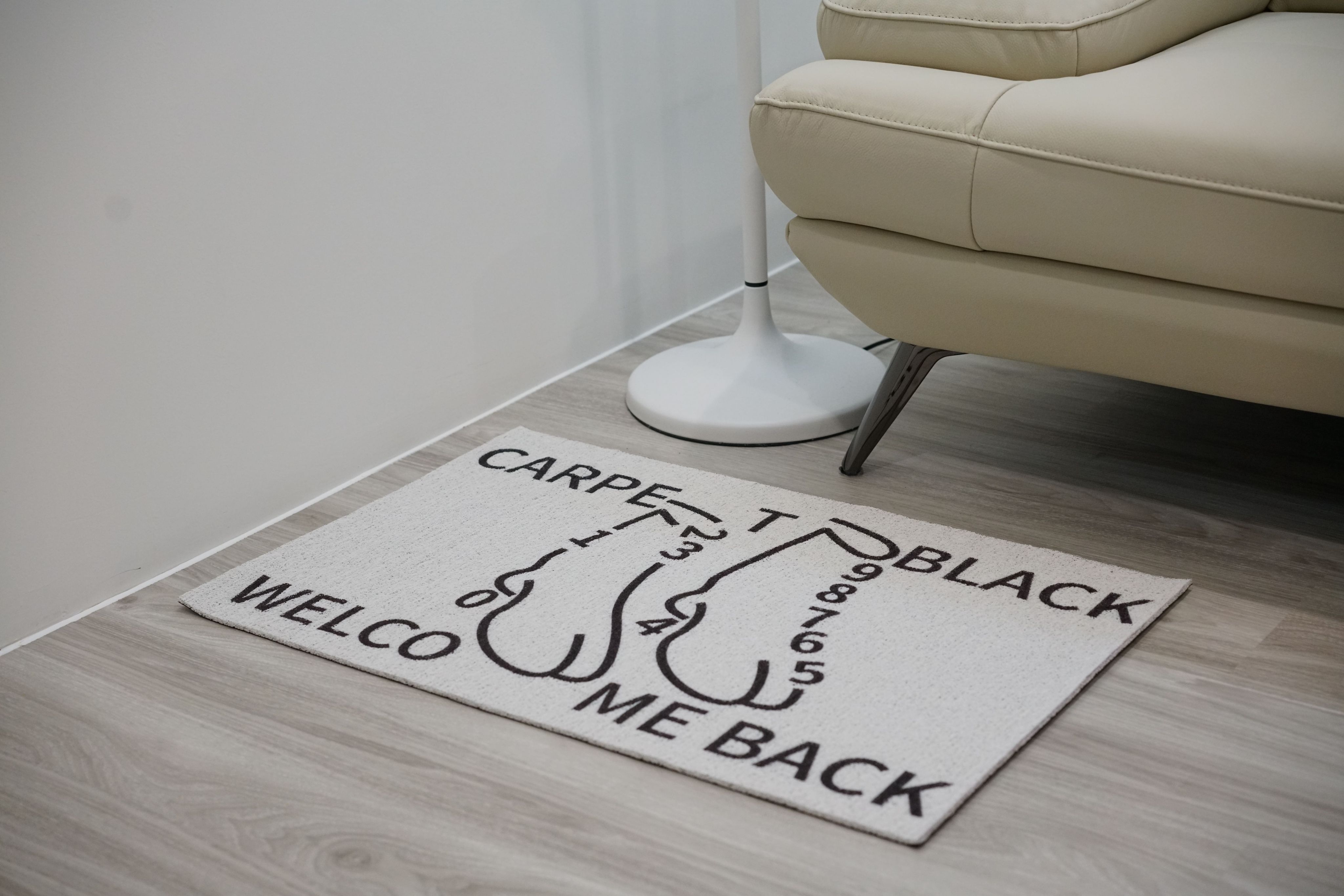 歡迎光臨 入戶門墊 門口玄關 絲圈墊
