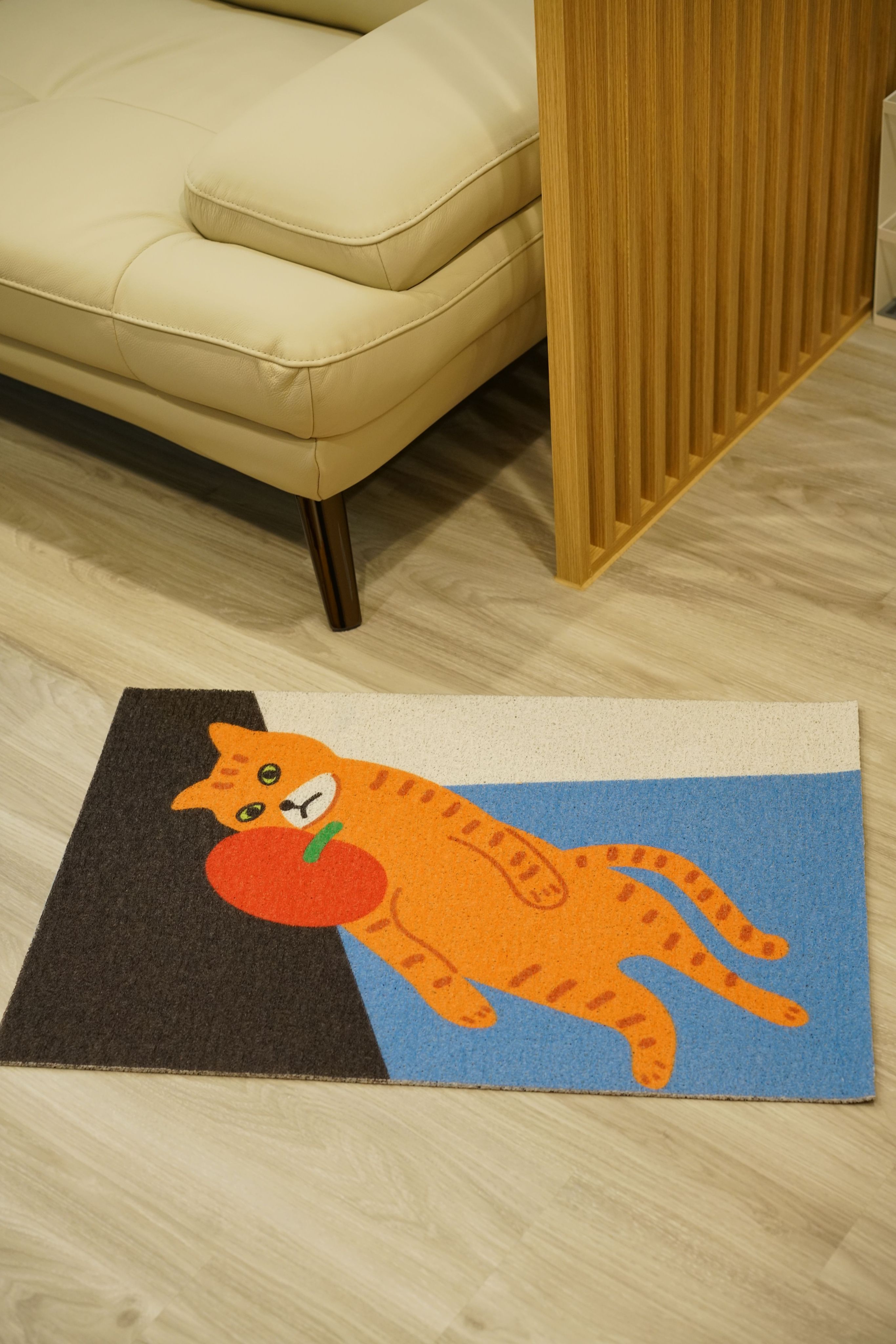 躺平橘貓 入戶門墊 門口玄關 絲圈墊