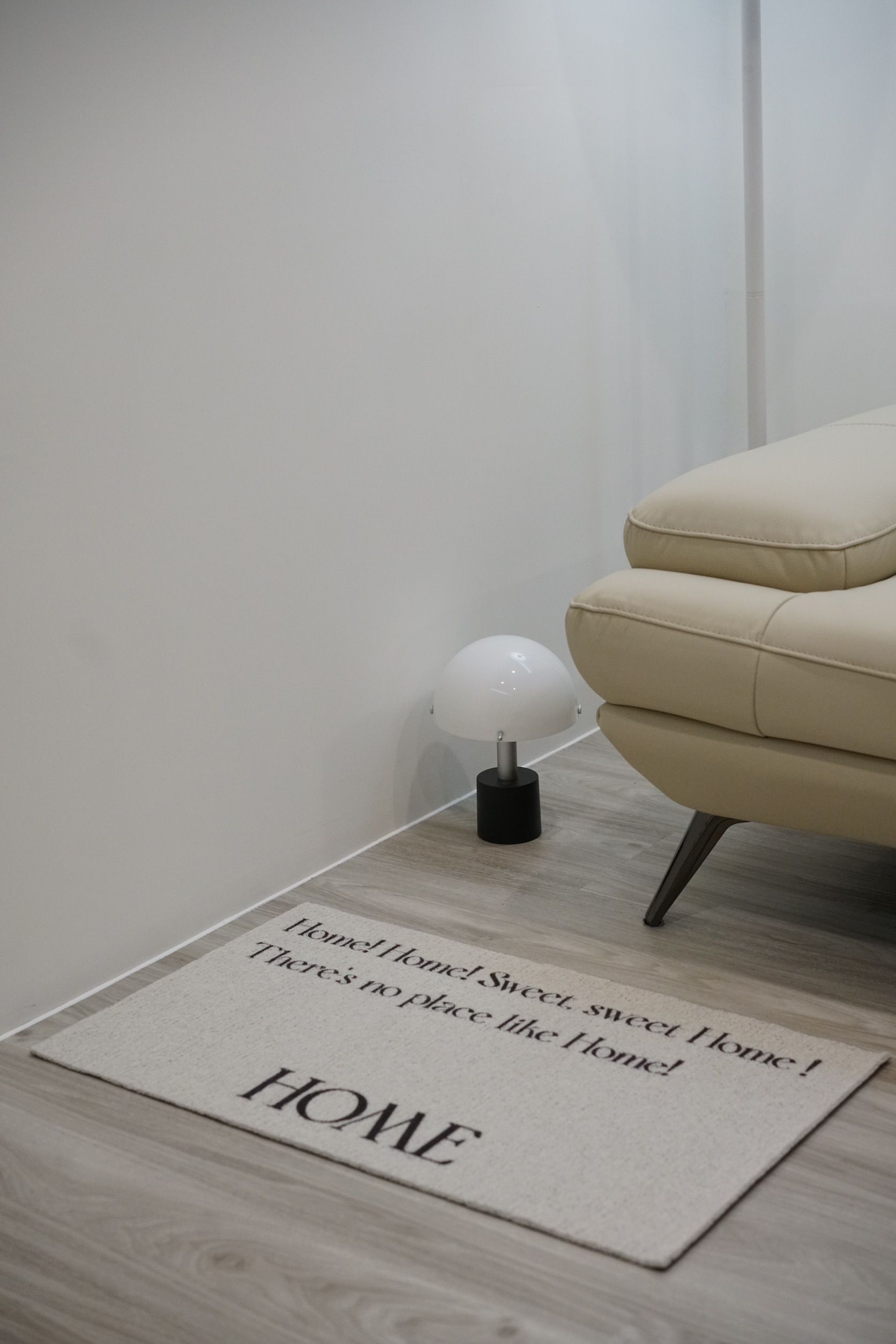 歡迎回家 門口玄關 入戶門墊