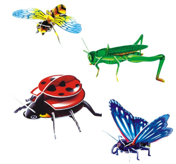 3D昆蟲立體拼圖
