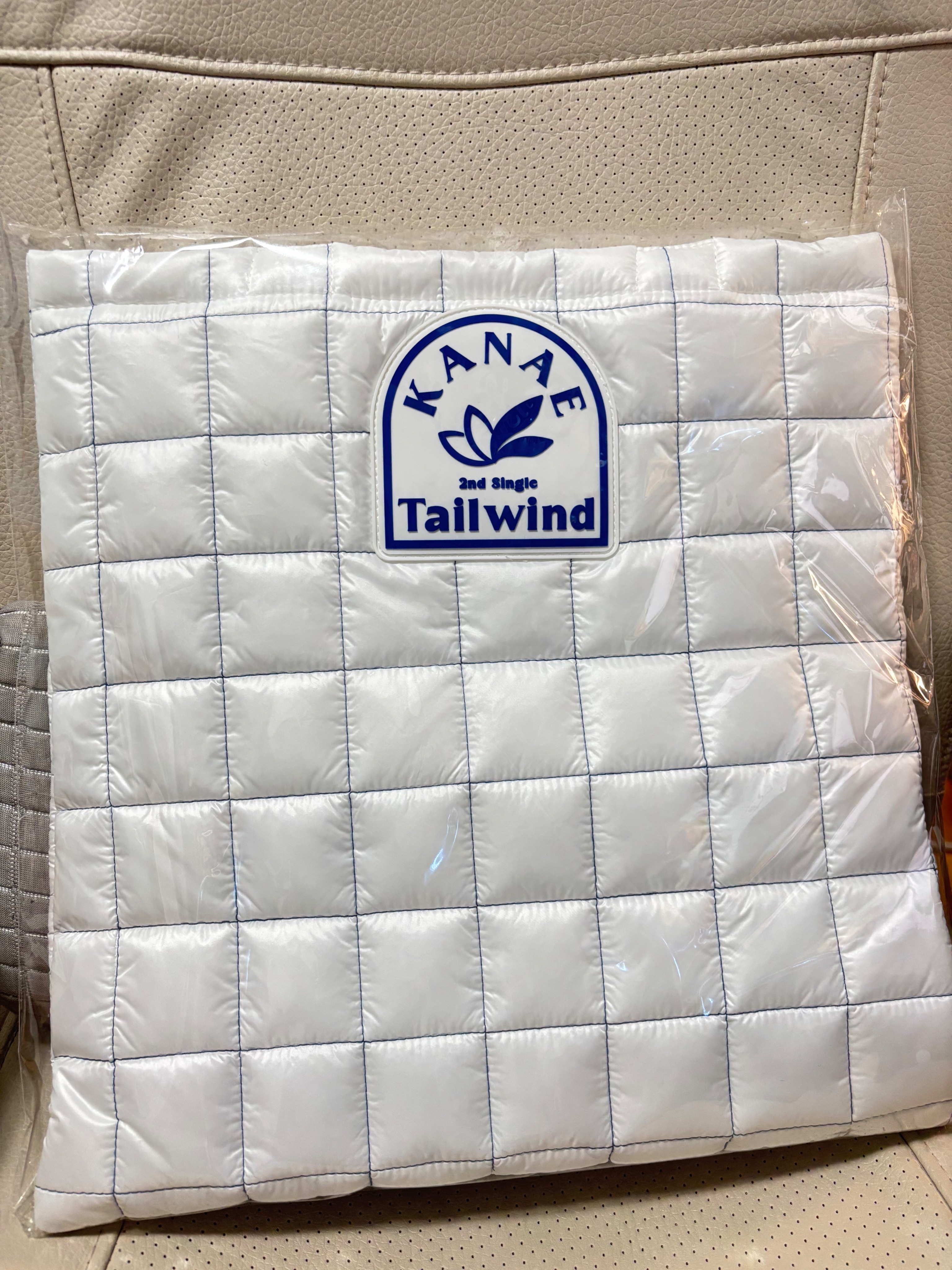 叶 2nd single「Tailwind」發售紀念 托特包