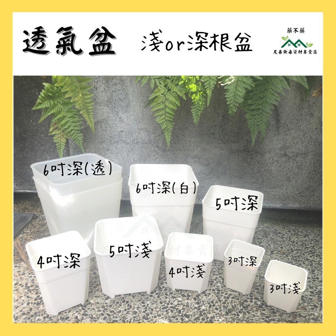【無毒專家】（尺寸齊全） 透氣盆 矮透氣盆 高透氣盆 加高 花盆 塑膠花盆 多肉 觀葉 植物 透氣