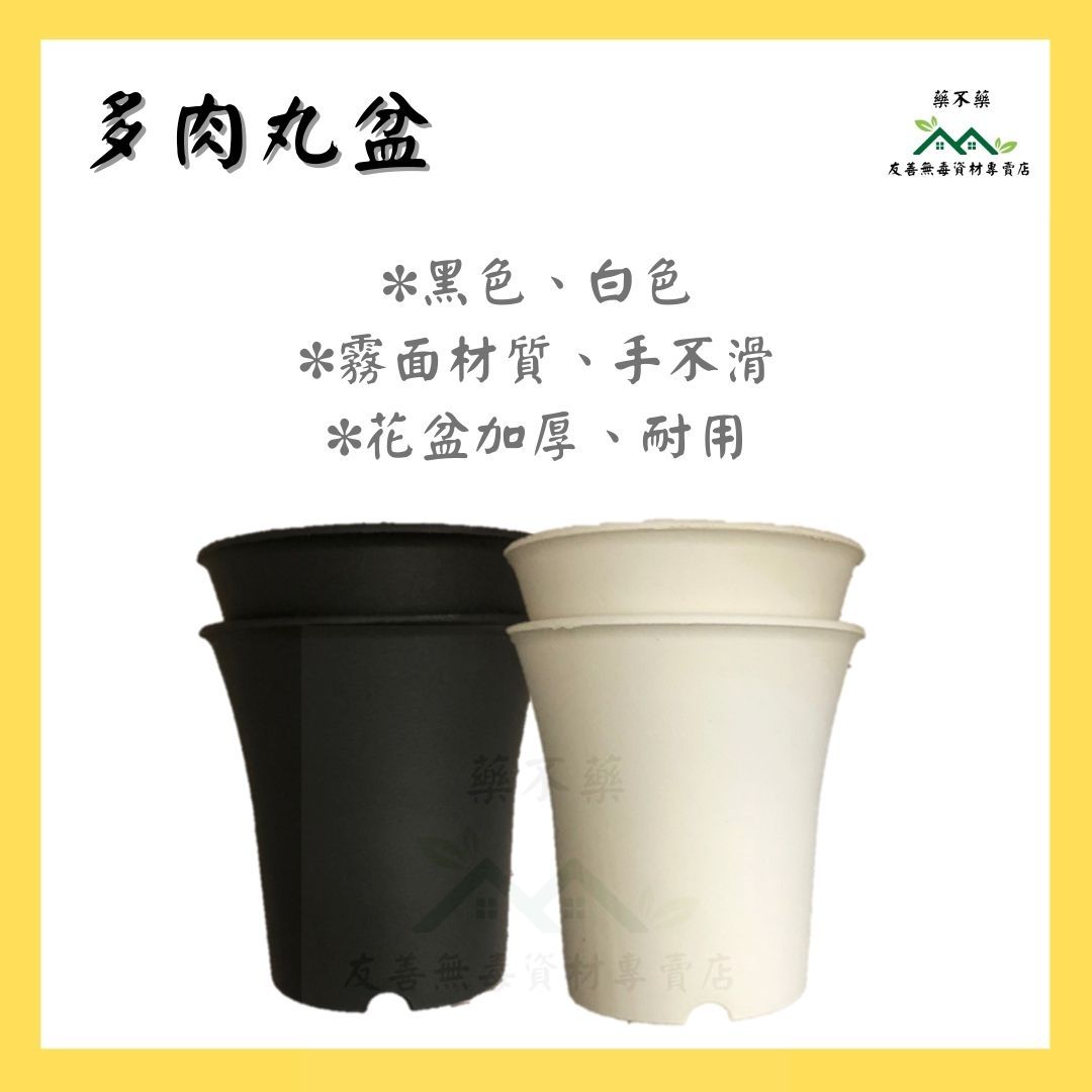 【無毒專家】（尺寸全齊）丸盆 多肉丸盆 盆栽 2吋 3吋 4吋 多肉植物 仙人掌 觀葉植物 透氣盆 塑膠花盆