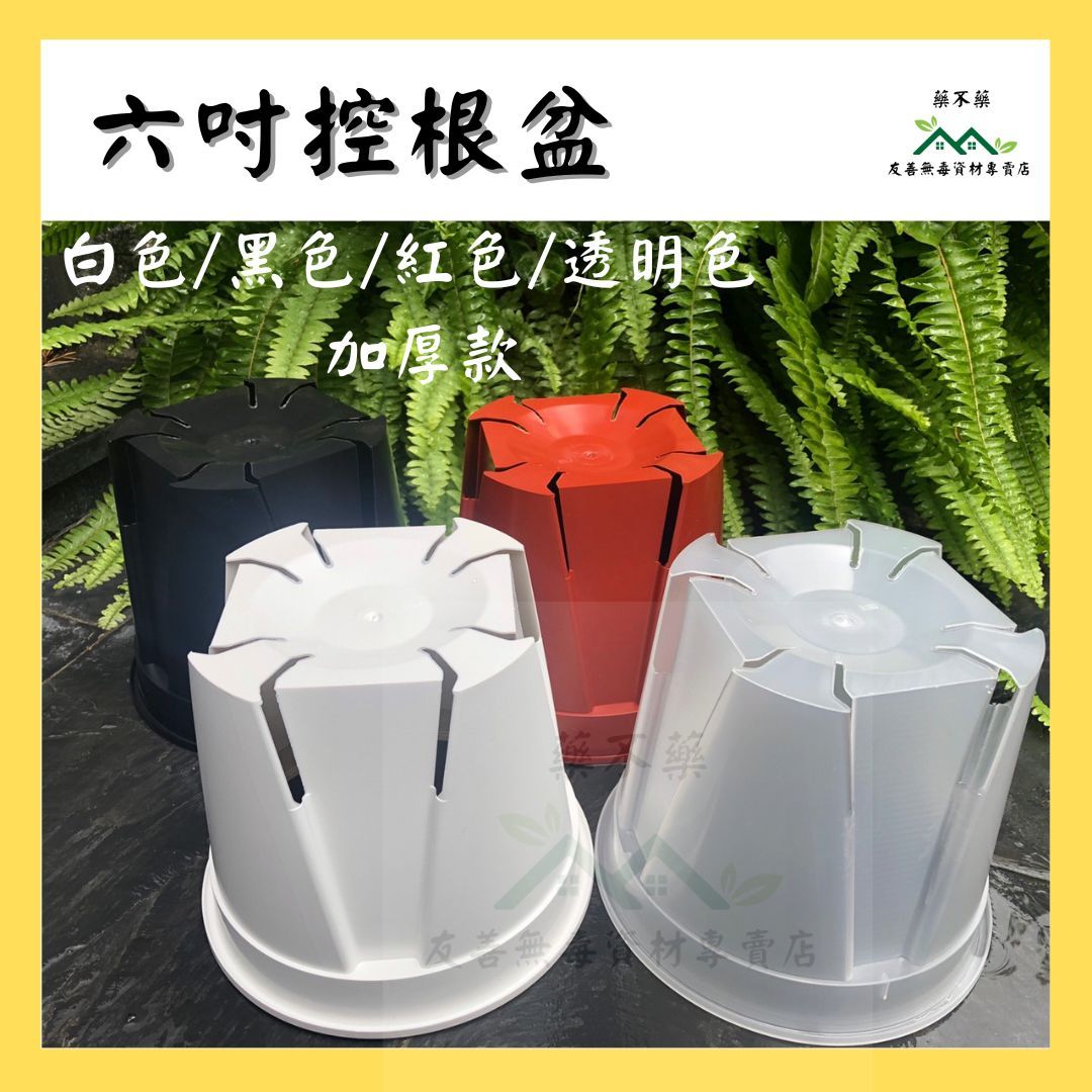 【無毒專家】六吋控根盆 控根盆 控根 透氣 花盆 塑膠花盆 多肉 觀葉 園藝 花盆 不爛根