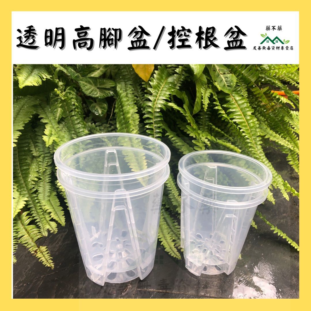 【無毒專家】透明高腳盆 控根盆 四吋五吋 觀葉植物 龜背芋 透氣盆 控根 透氣 盆栽 盆器