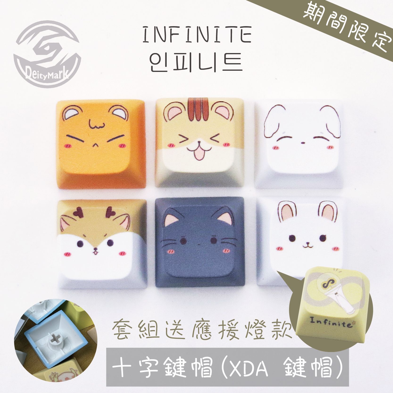 INFINITE 期間限定 套組6入送應援燈款1入