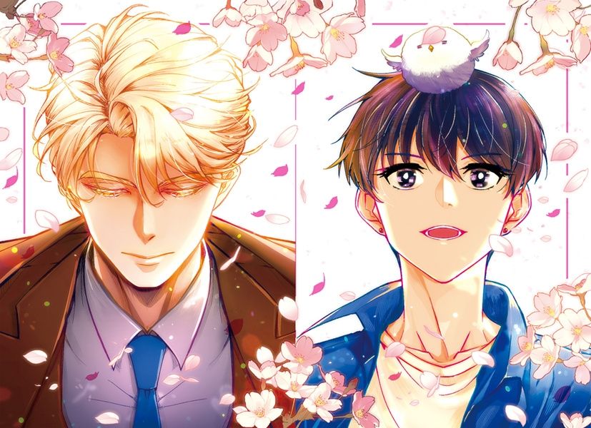 【我培育的S級們】成辰雙燙金明信片