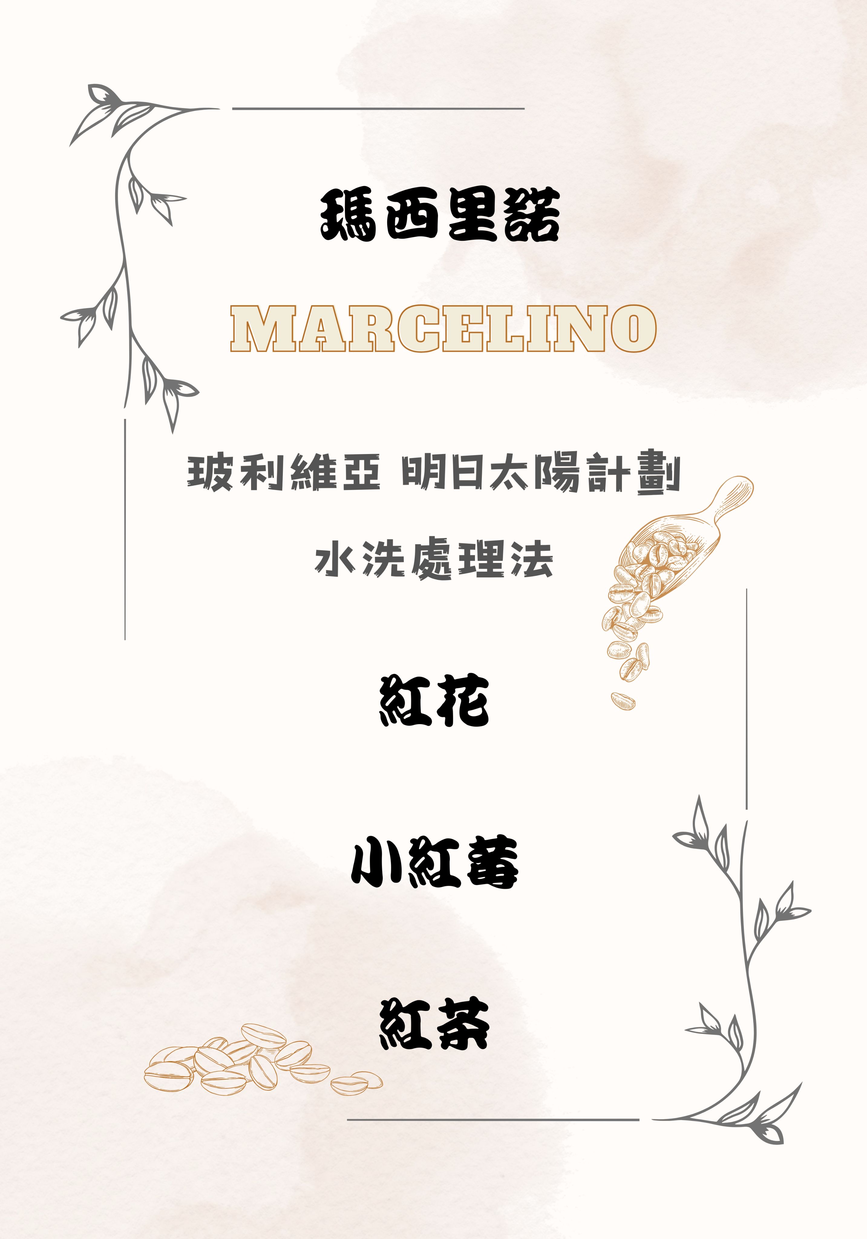 玻利維亞瑪西里諾