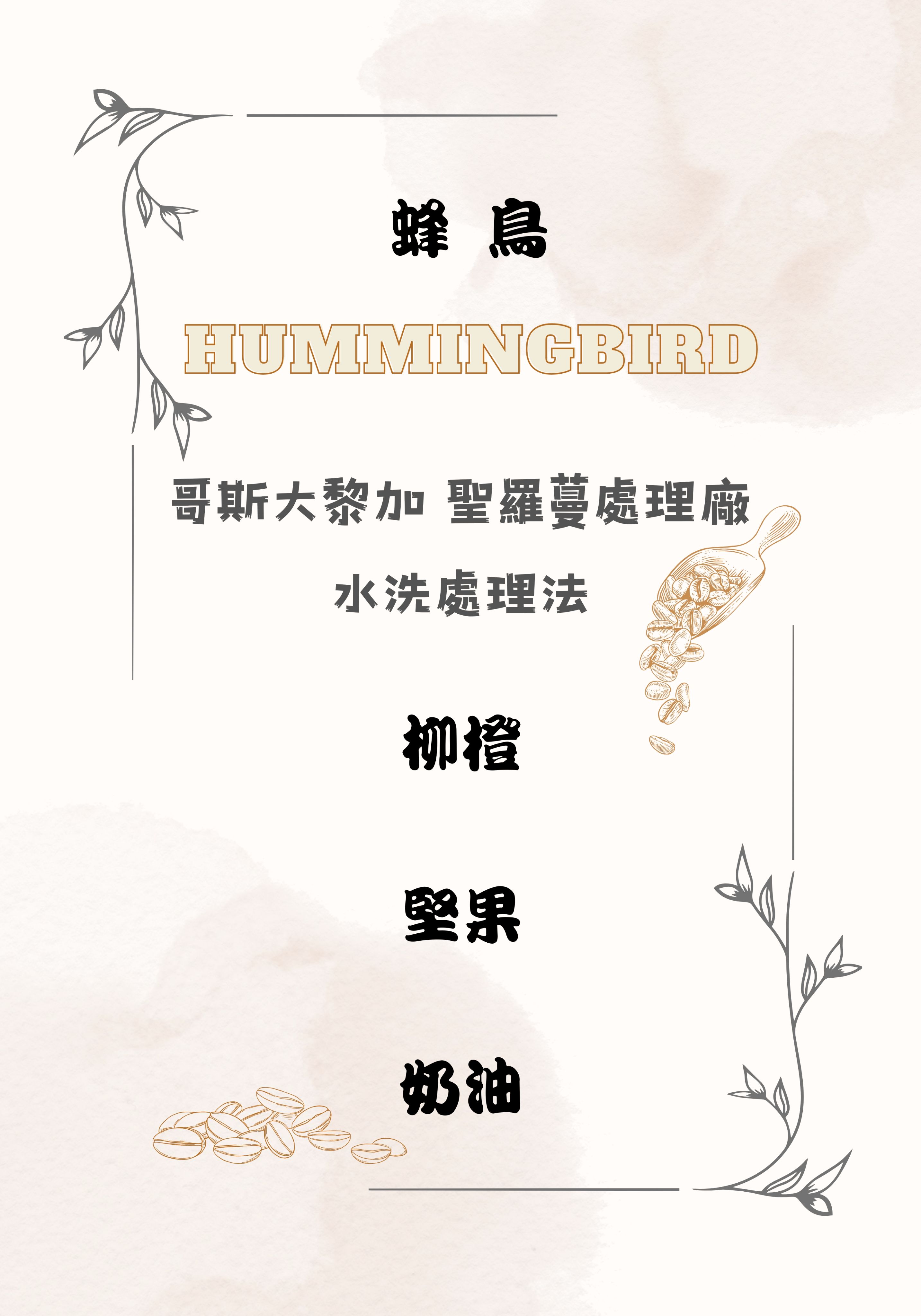 哥斯大黎加蜂鳥