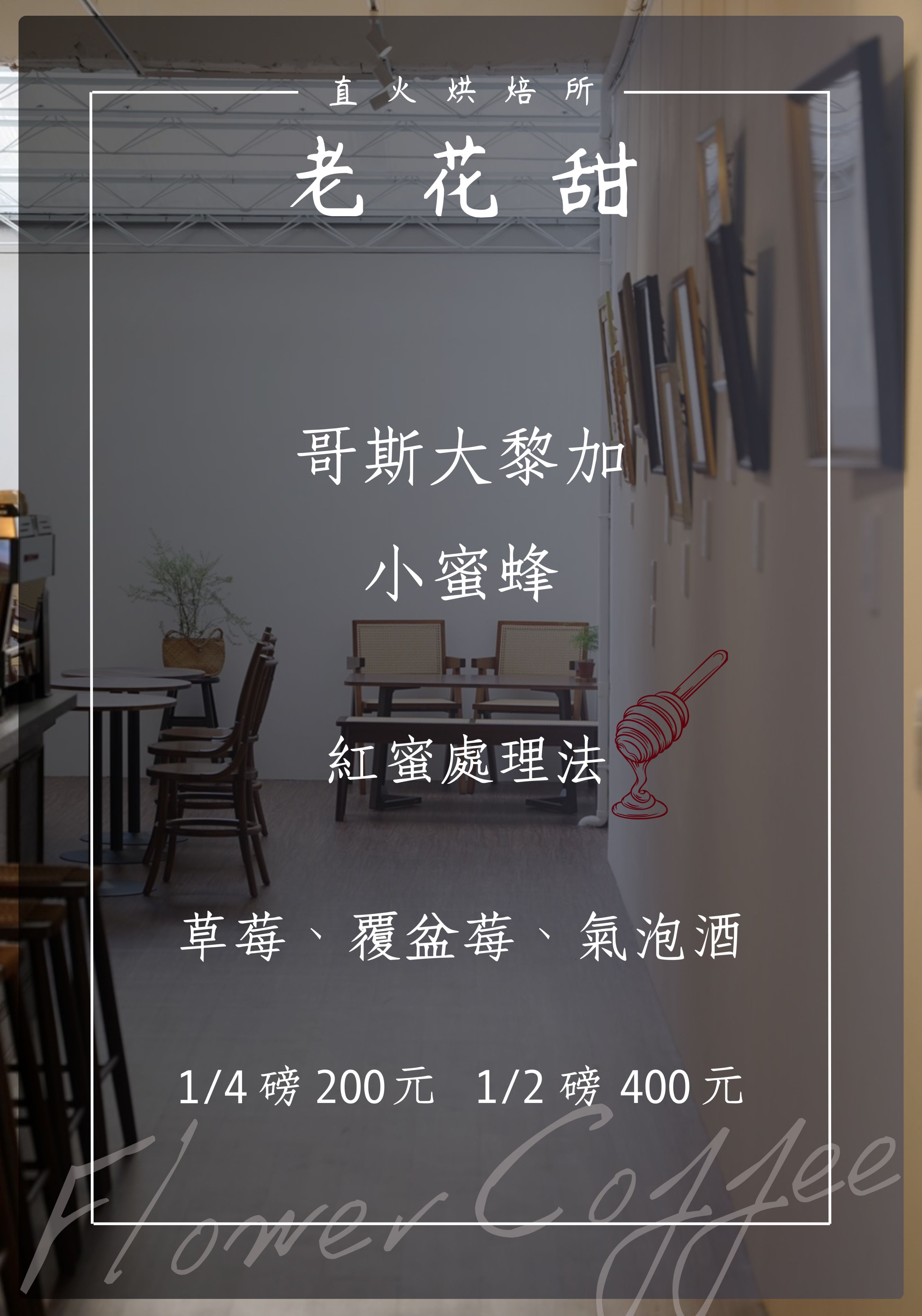哥斯大黎加 小蜜蜂