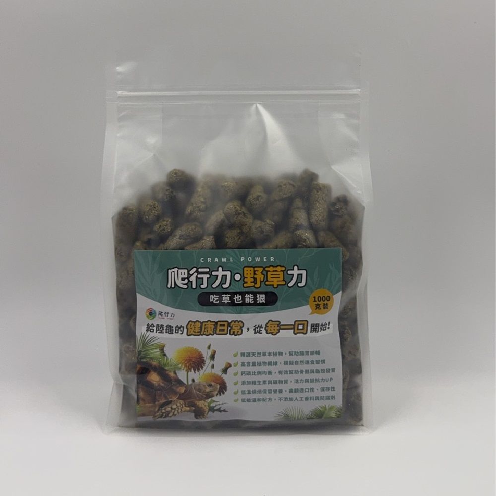 爬行力 爬蟲飼料