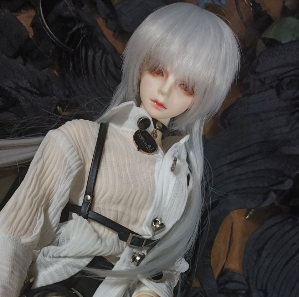 6分 | 貓王 前短後長銀色*假髮