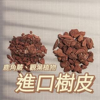 進口樹皮0.1-1cm / 3-5cm 250g /觀葉植物、鹿角蕨、蘭花適用透氣資材