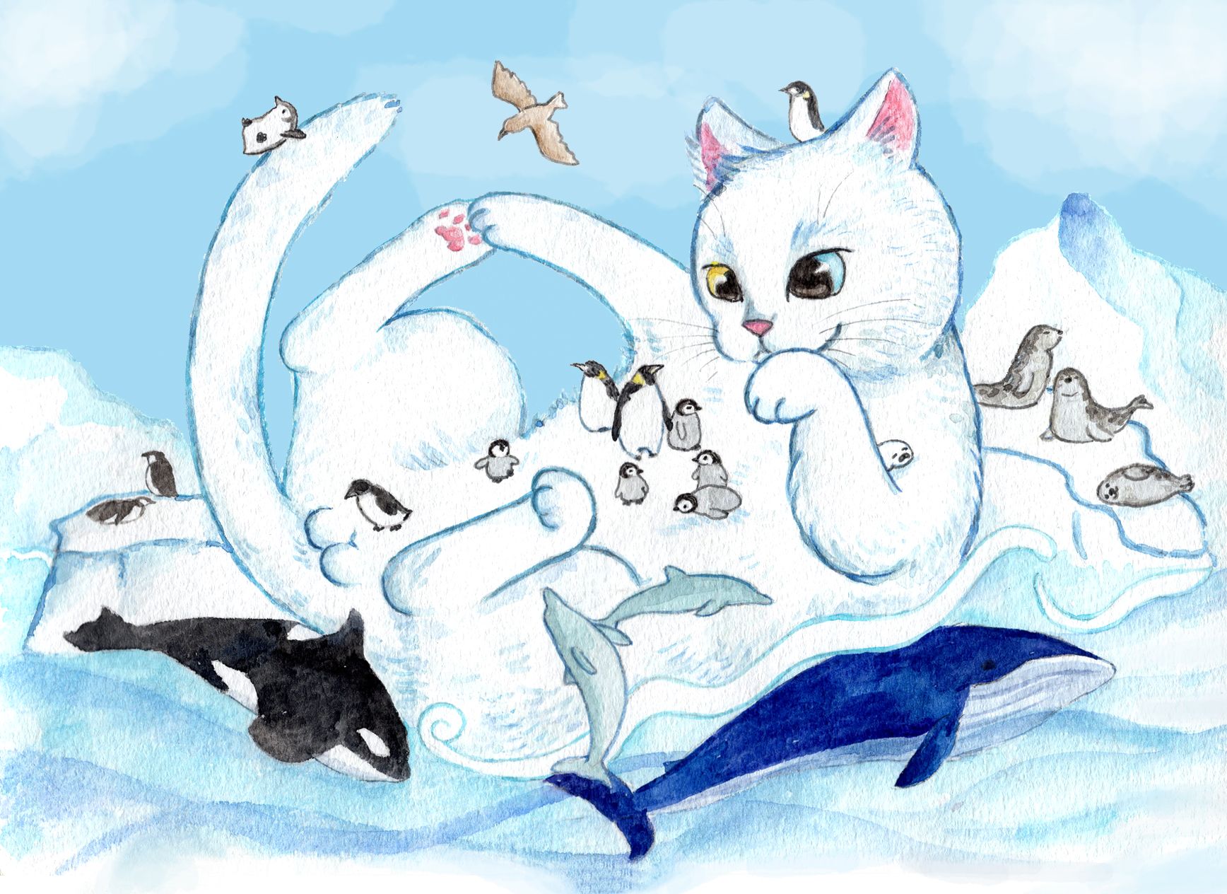 冰山貓肚島明信片