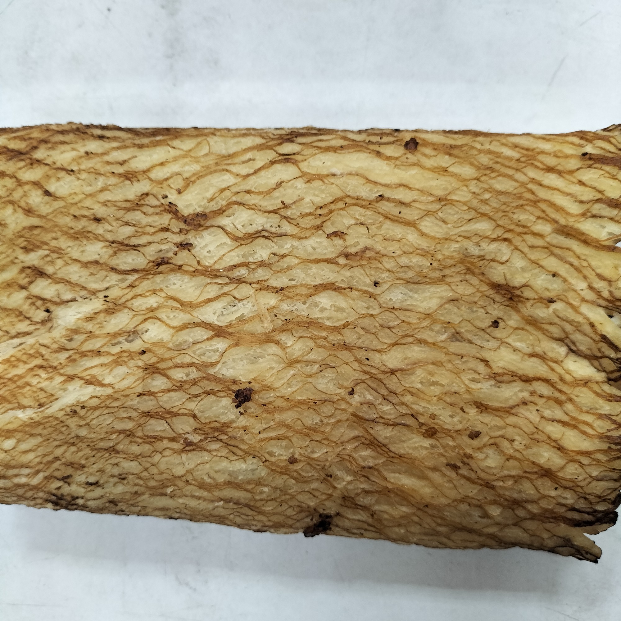 碳烤魷魚片-茂川肉鬆70年老店