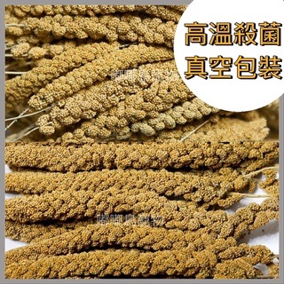 【台灣 | 法國】 真空包裝殺菌栗米穗〔100g | 200g〕 無農藥 小米穗 鸚鵡雀鳥