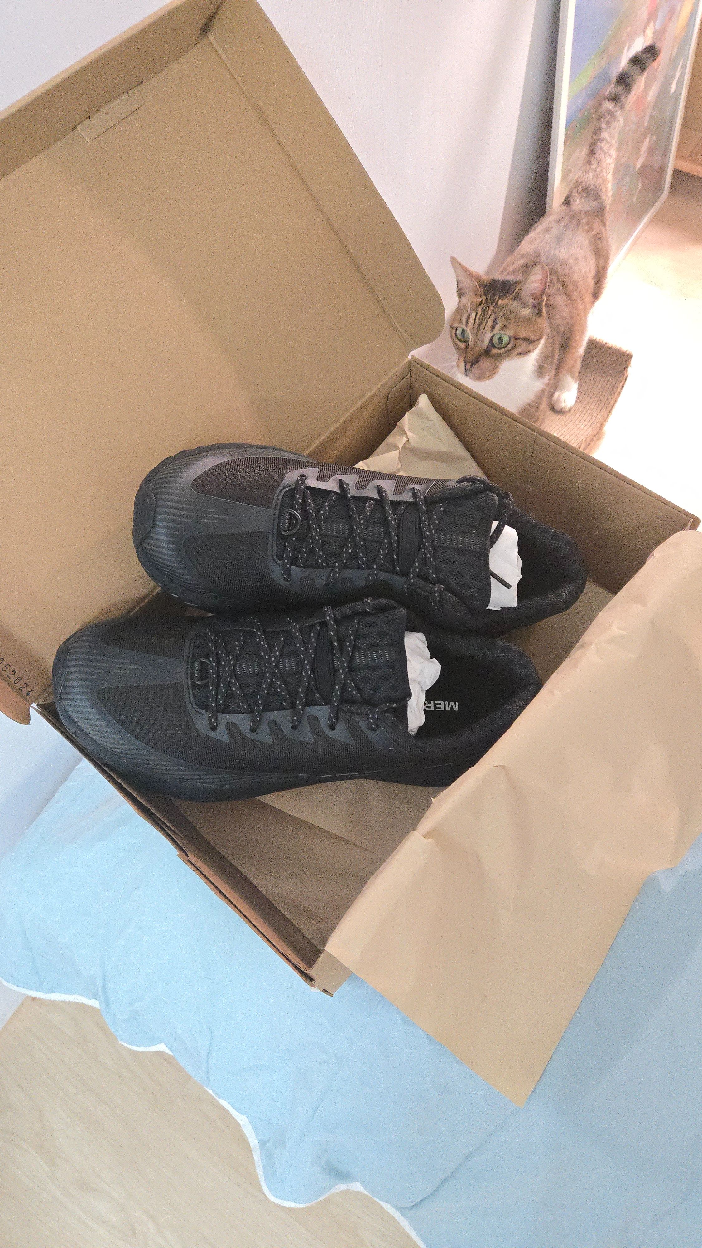 MERRELL AGILITY PEAK 5