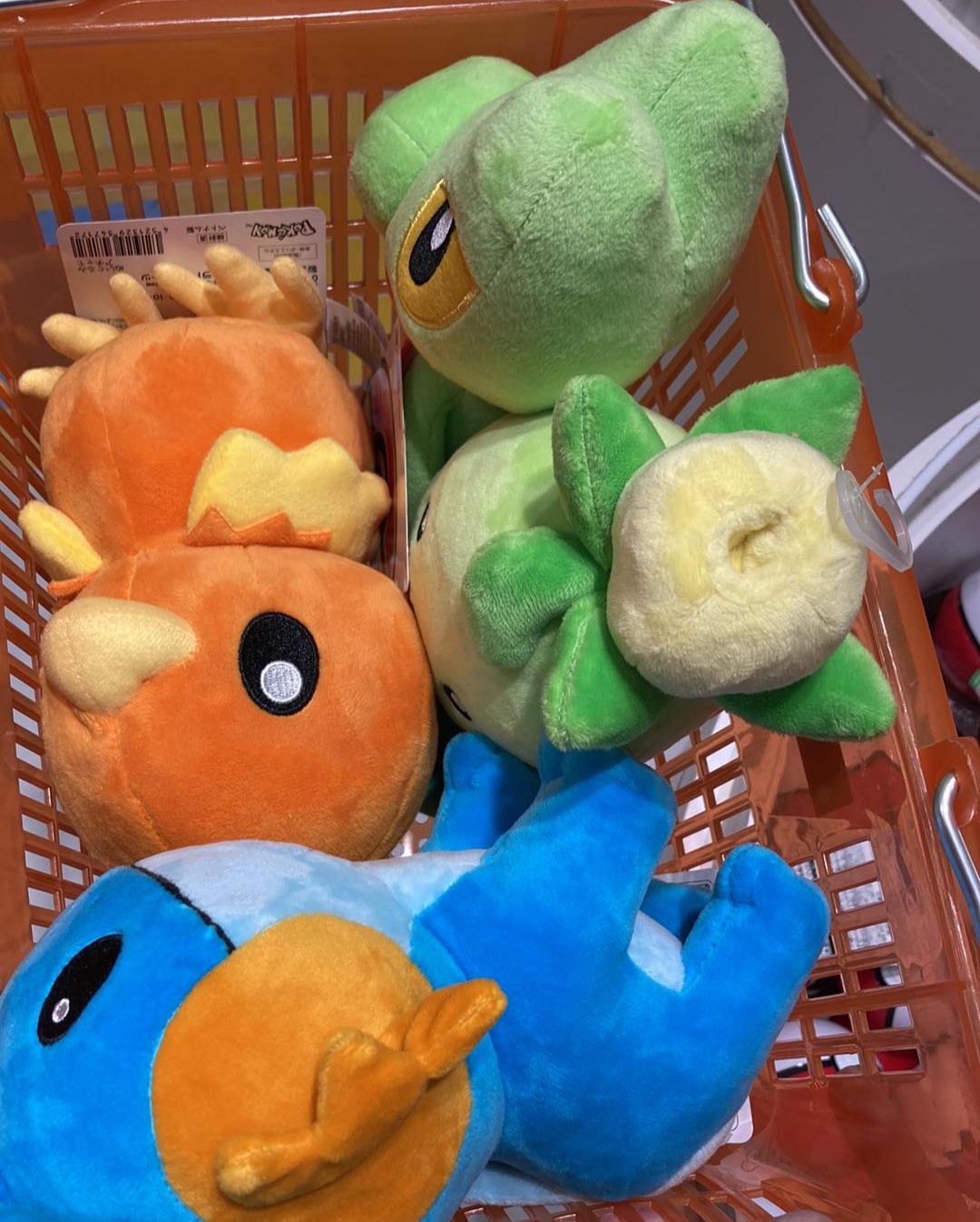 米幹的寶可夢們