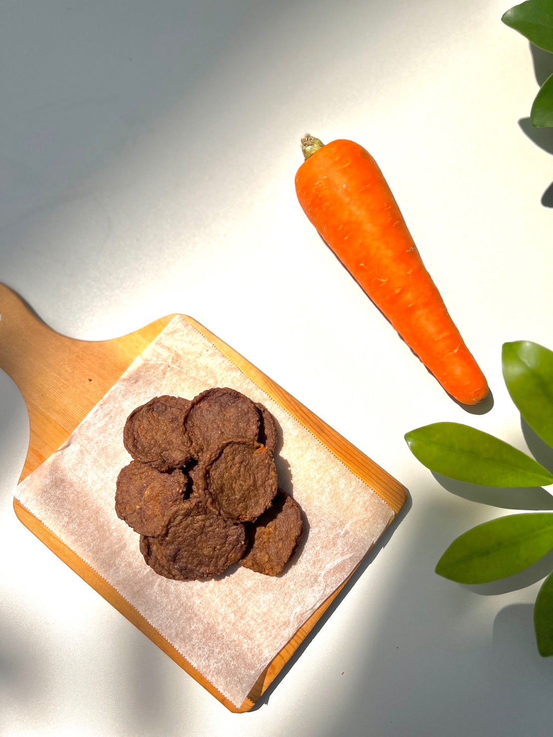 寵愛毛毛♡ᵕ̈｜薑黃胡蘿蔔羊肉圓餅🥕 100%手作零食 貓狗零食 無添加防腐化學甘油 汪喵最愛 老狗狗友善