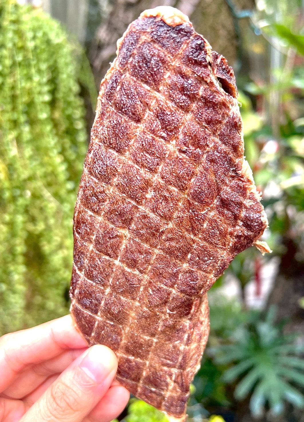 寵愛毛毛♡ᵕ̈｜原味草飼牛薄片 100%手作零食 貓狗零食 無添加防腐化學甘油 汪喵最愛 老狗狗友善