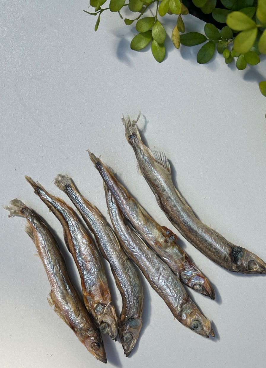 寵愛毛毛♡ᵕ̈｜爆蛋柳葉魚凍乾  柳葉魚凍乾 汪喵零食 無添加甘油防腐劑 狗狗貓貓 寵物凍乾 寵物零食 天然凍乾