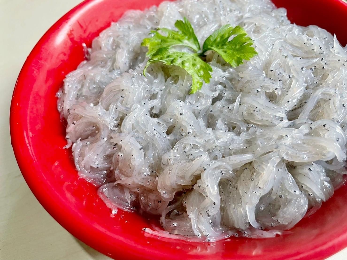 東北角產地直送吻仔魚