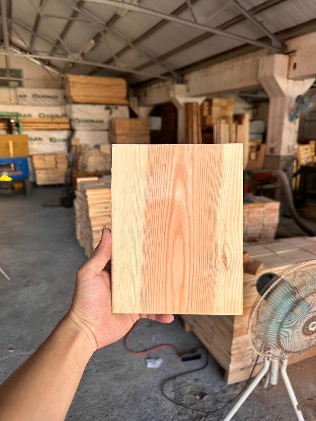 歐洲赤松21cm*17cm*1.9cm