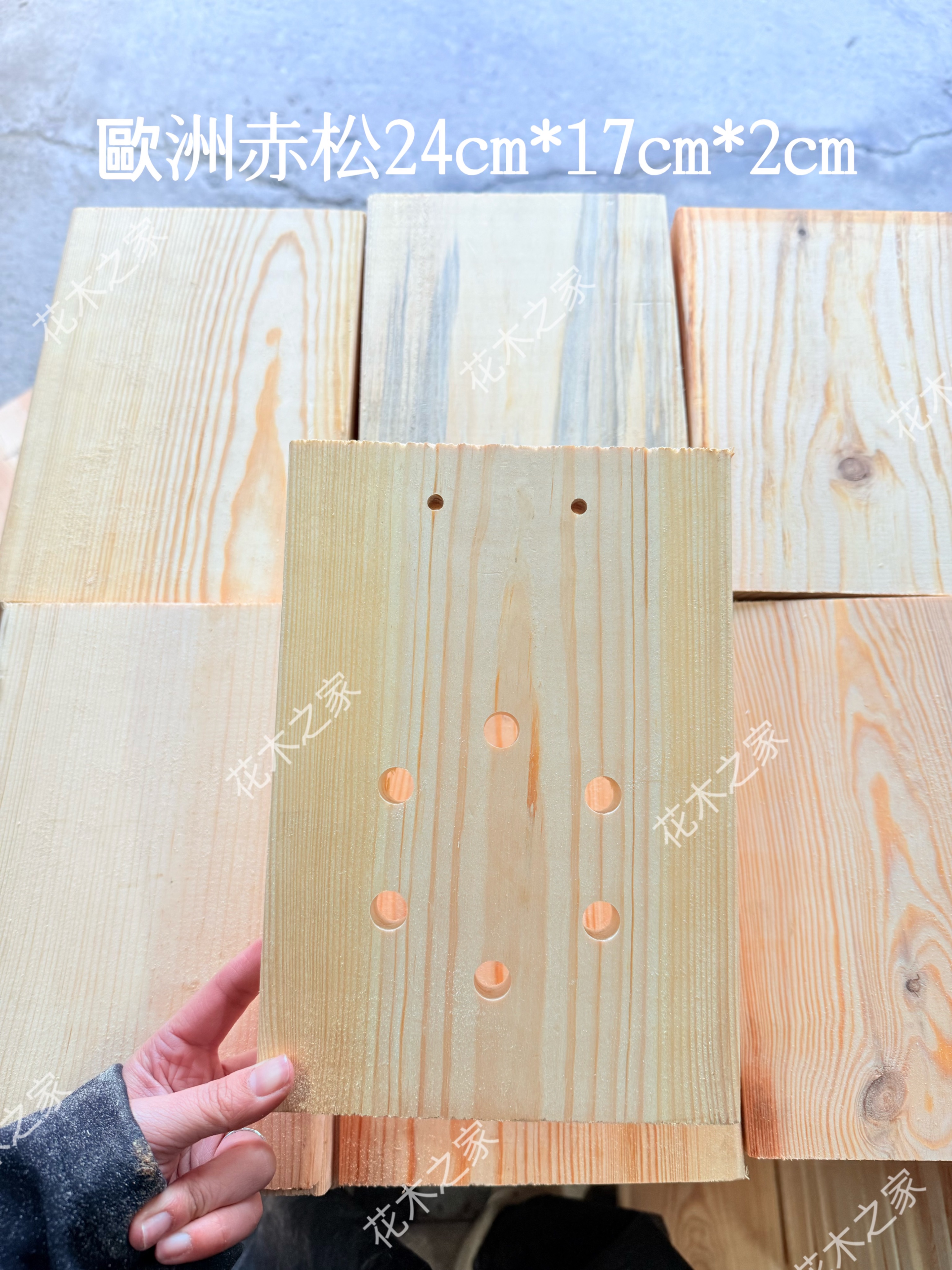 正常品歐洲赤松24cm*17cm*2cm