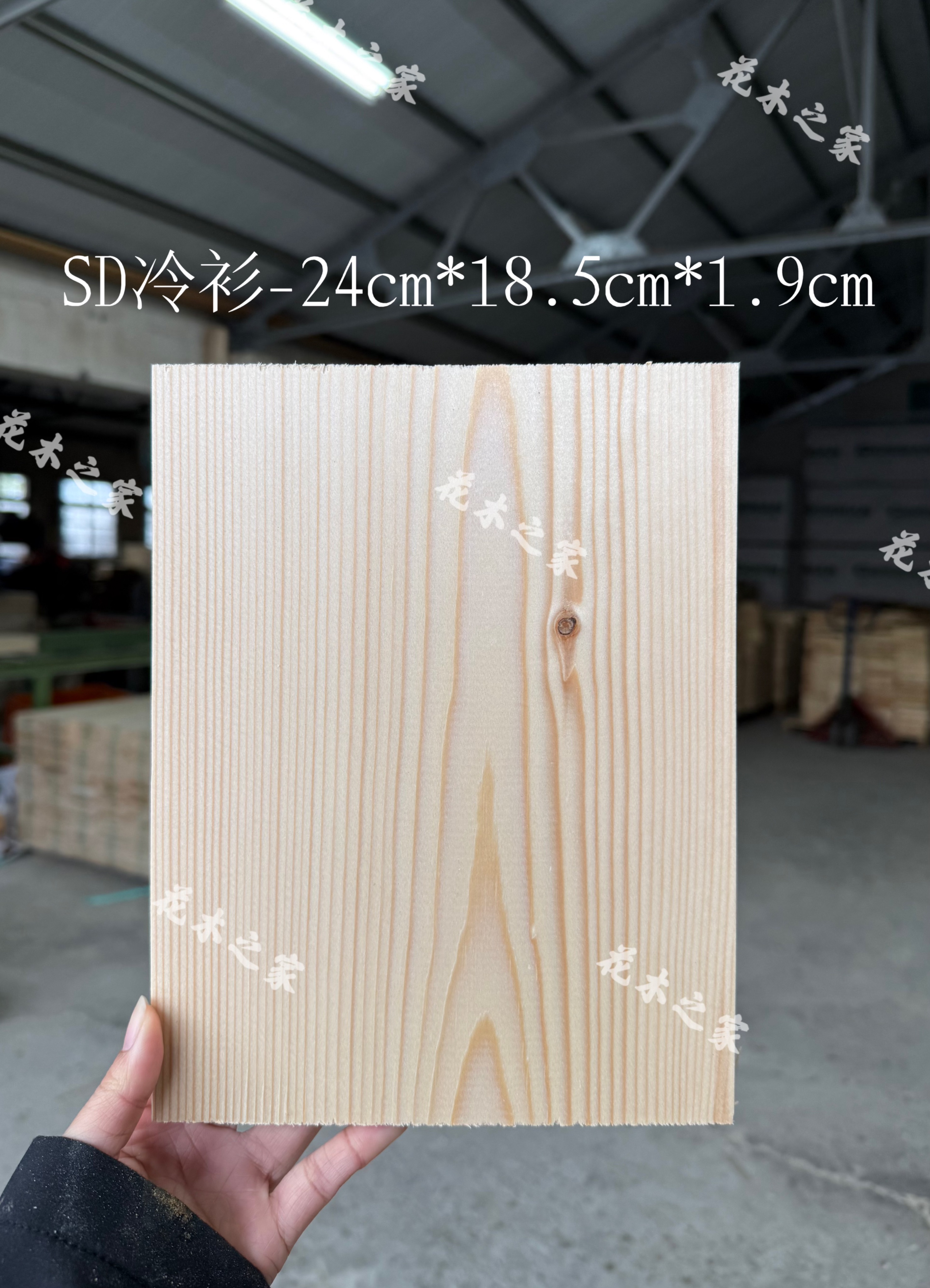 SD冷杉-24cm*18.5cm*1.9cm