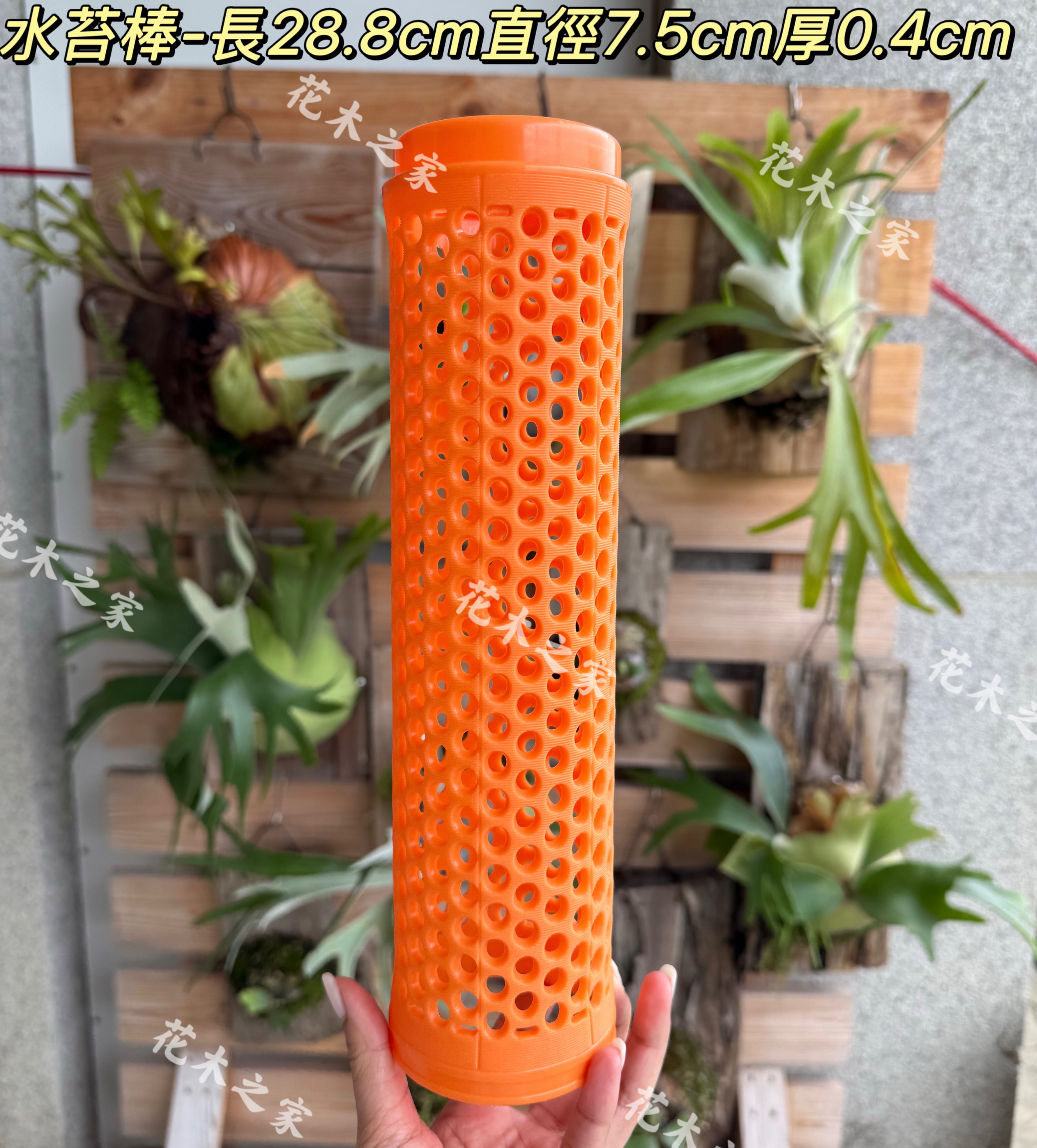 水苔棒長28.8cm*直徑7.5cm*厚0.4cm