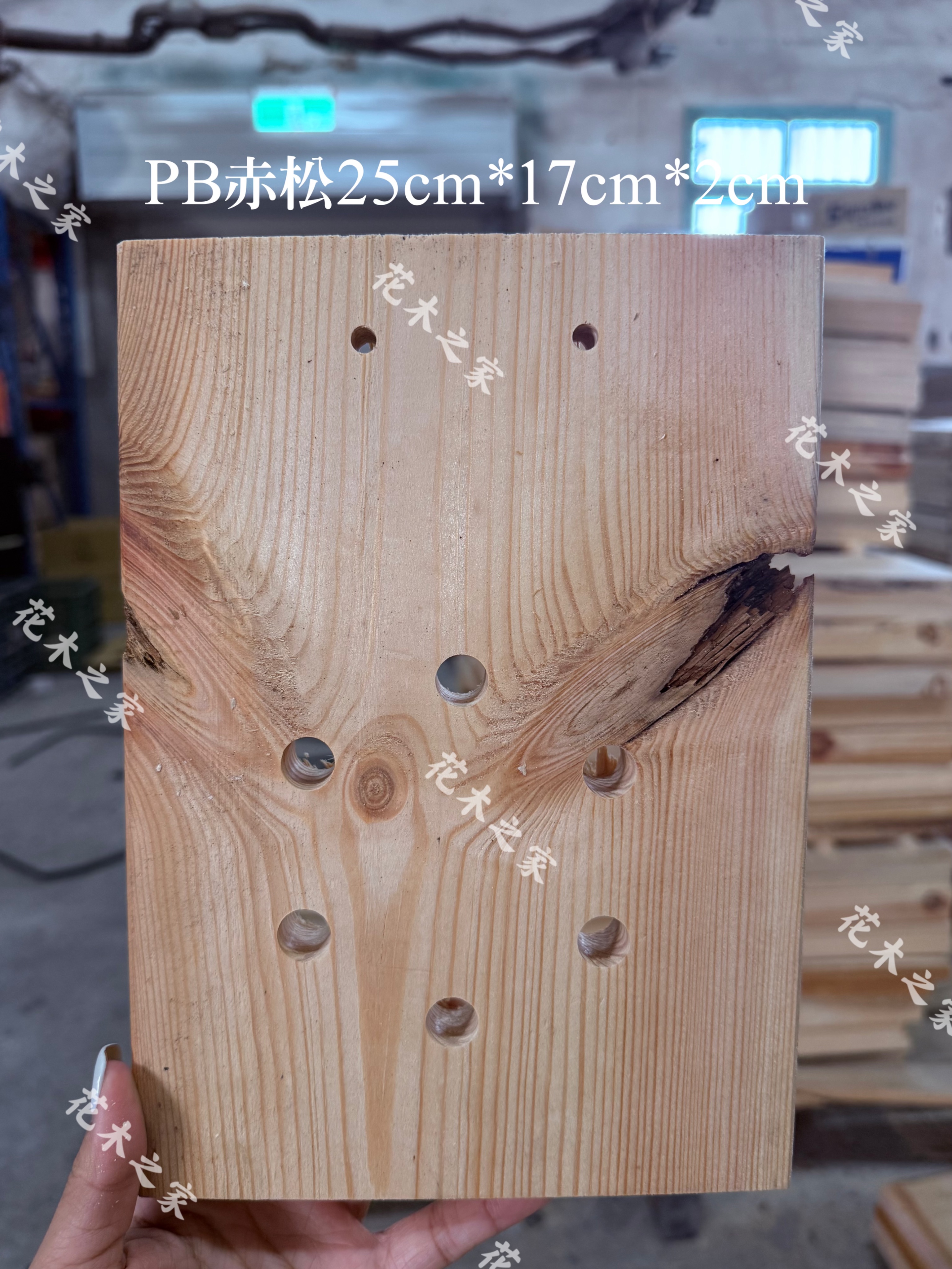 NG品PB歐洲赤松24cm*17cm*2cm