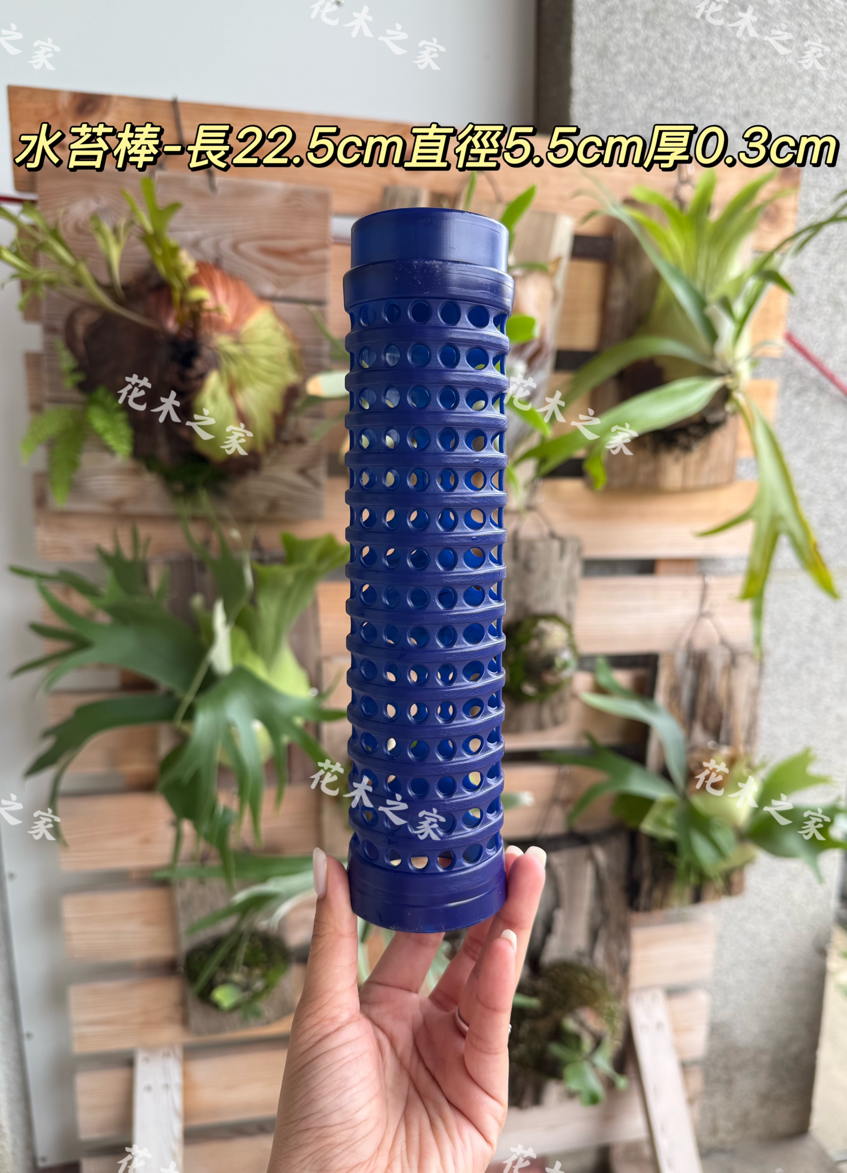 水苔棒長22.5cm*直徑5.5cm*厚0.3cm