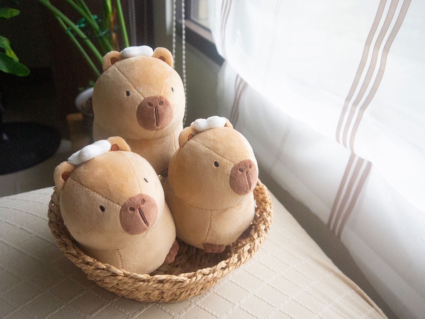 ＂ I’m Capybara from SKYCOFFEE ＂ 水豚店長娃