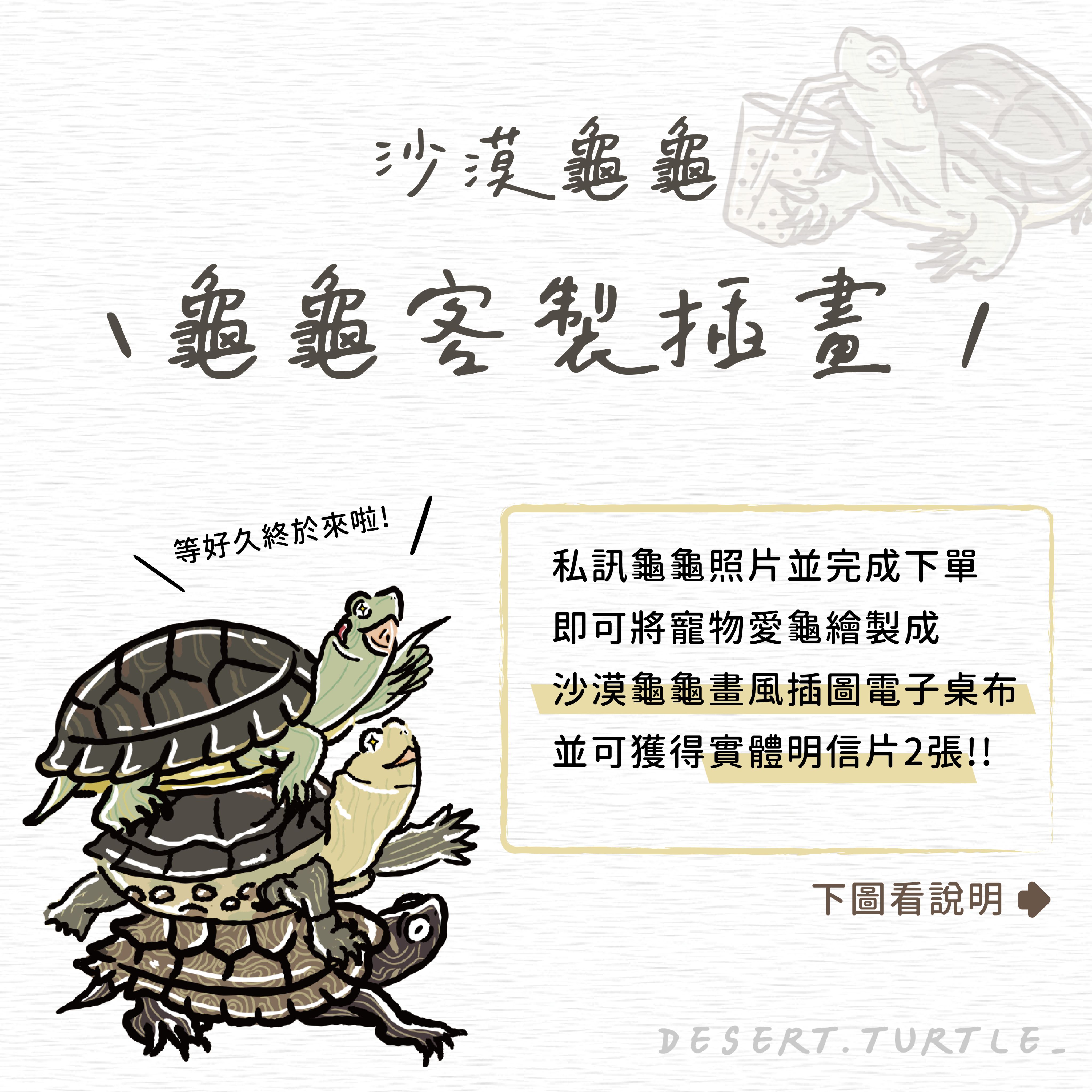 沙漠龜龜客製化插畫明信片