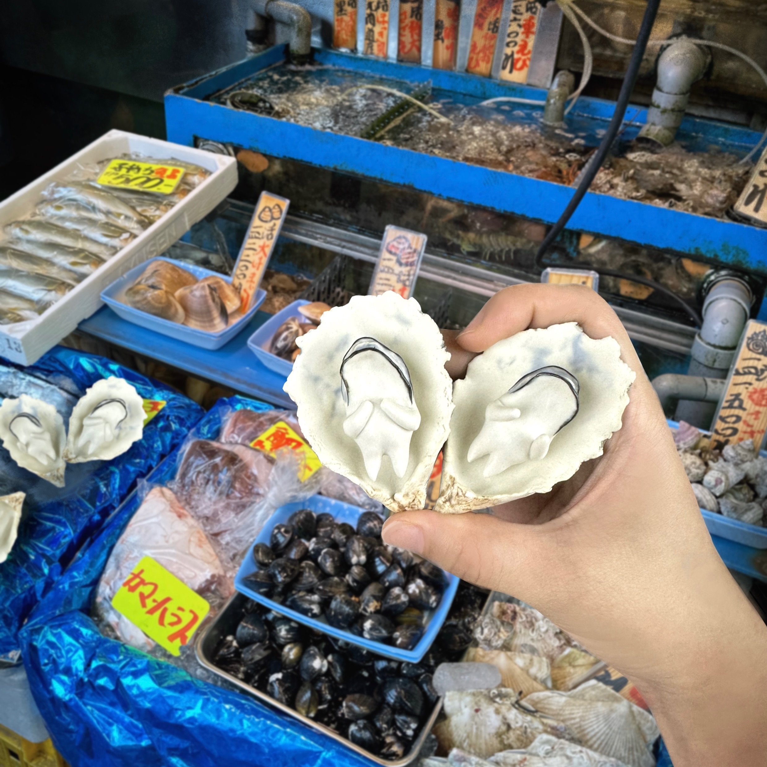 🦪迷你牡蠣、大牡蠣✨