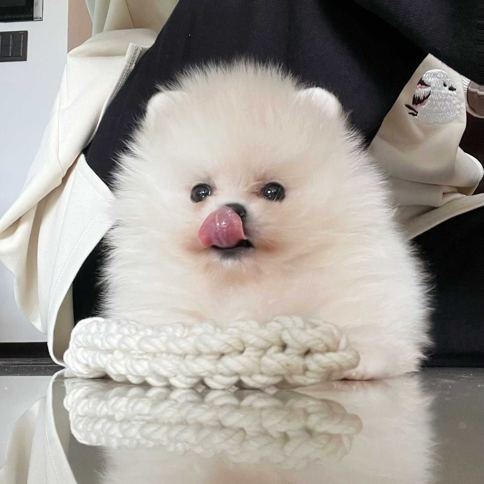 【尊生日企劃】生日不賣自己，賣女兒【拍立得】