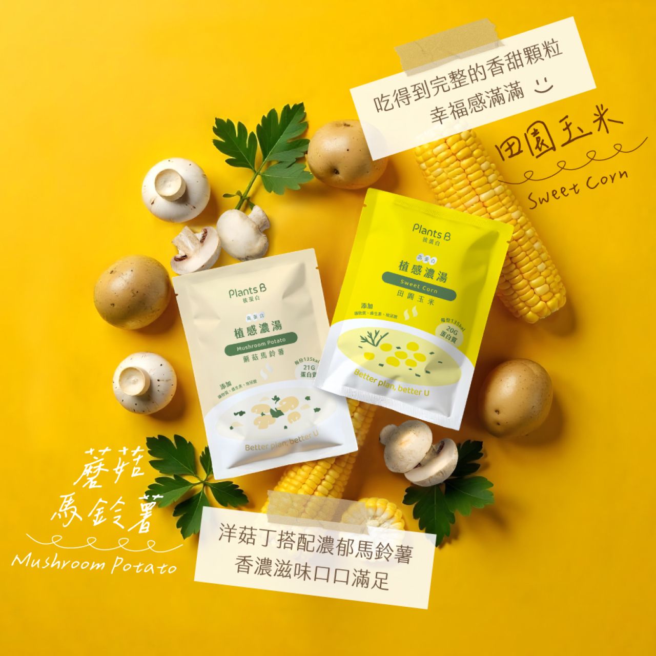 PlantsB彼蛋白 高蛋白植感濃湯 隨身包35克 （全素） 55元