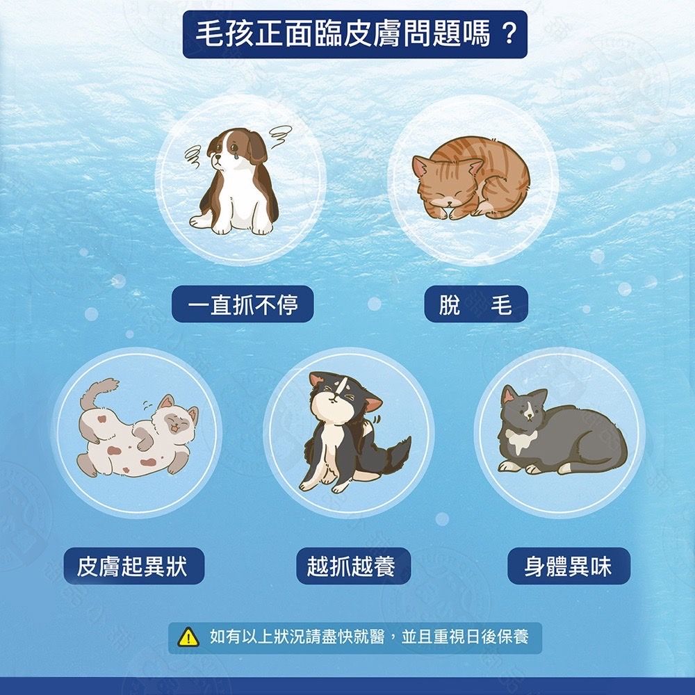 Mrs.Young 液態黃金天然鮭魚油 （170ml） 價格：990元