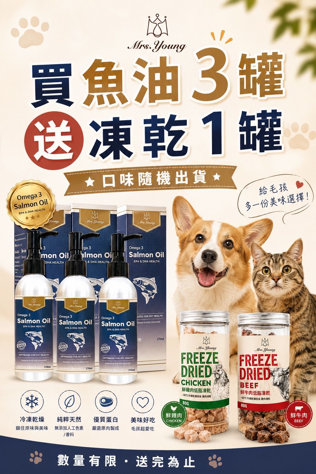 Mrs.Young 液態黃金天然鮭魚油 （170ml） 💰 價格：一罐990元 #買3罐送凍乾1罐（口味隨機）