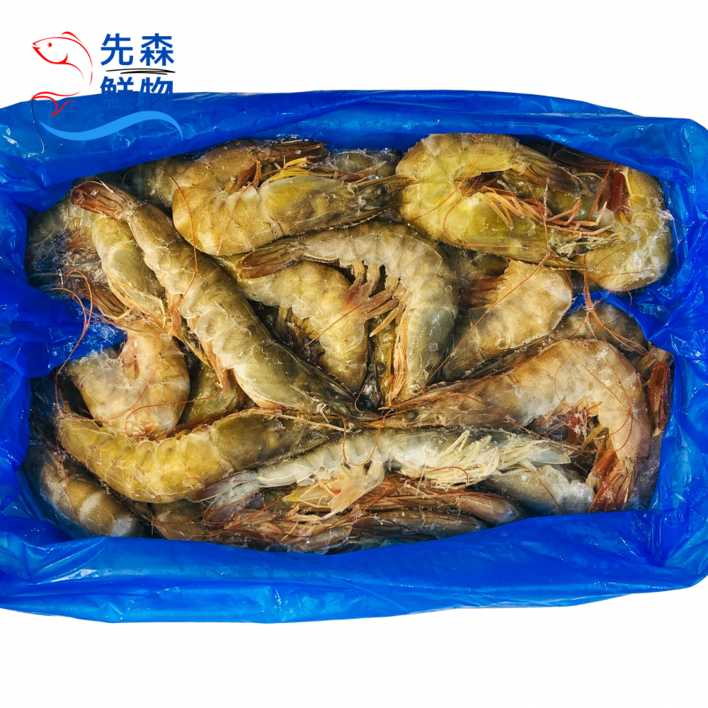 活凍生白蝦40/50