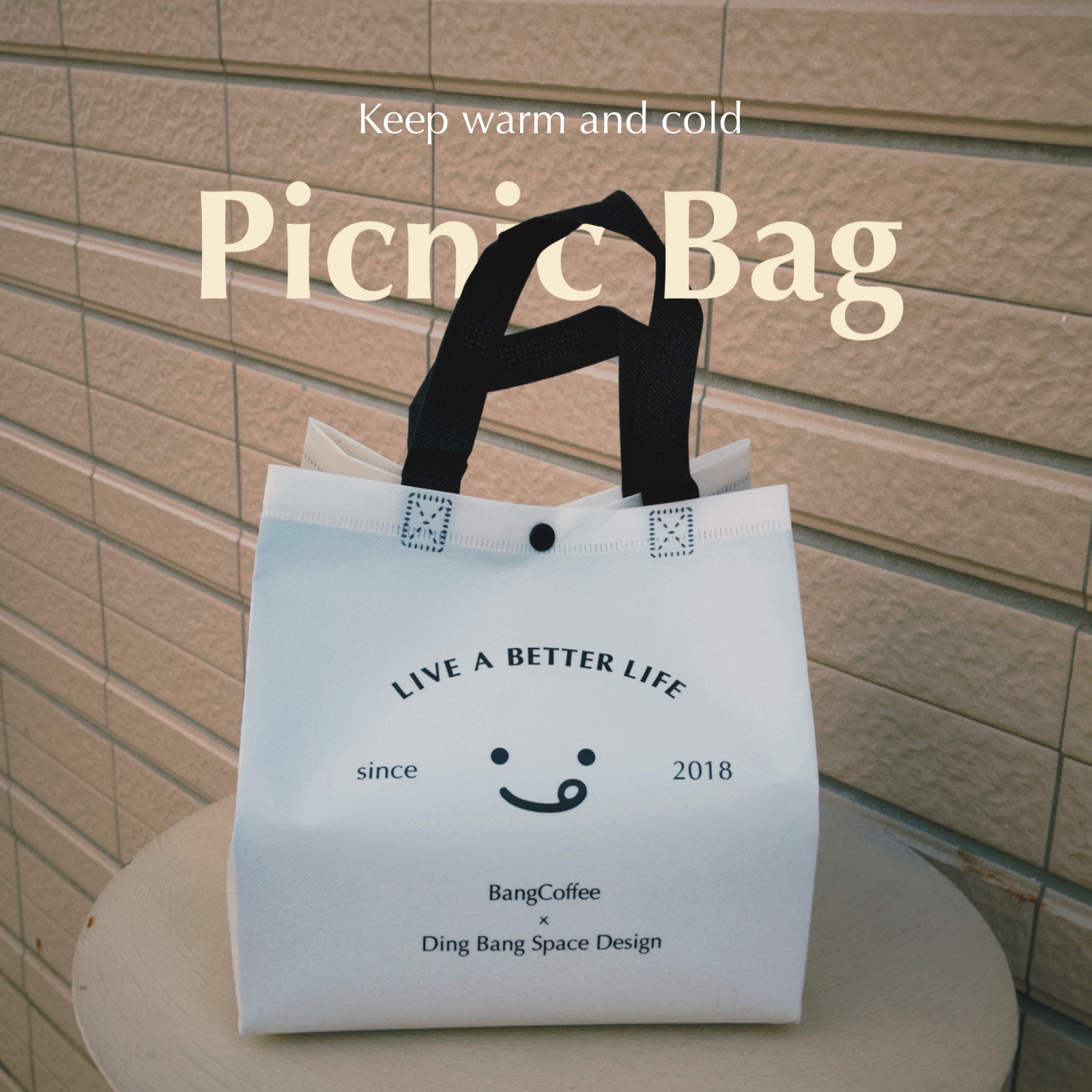 Logo邦保冷保溫環保袋🧺野餐袋【第五代最新款】