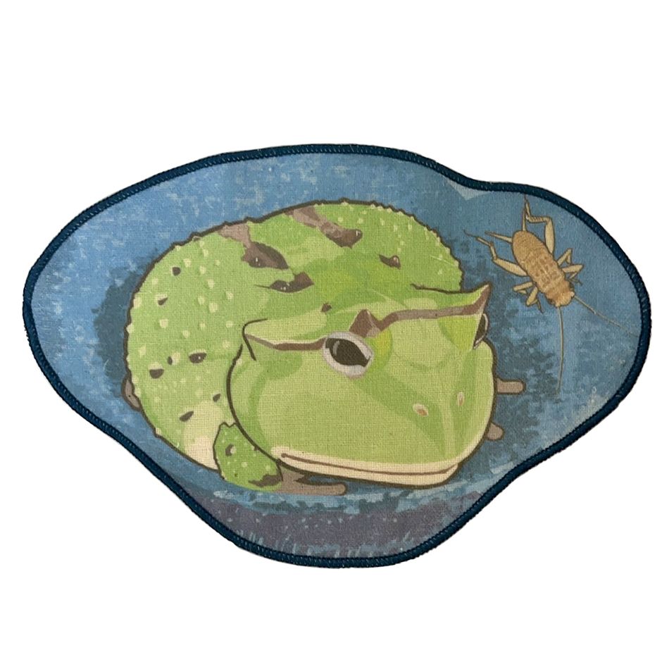 麻糬蘇利南角蛙