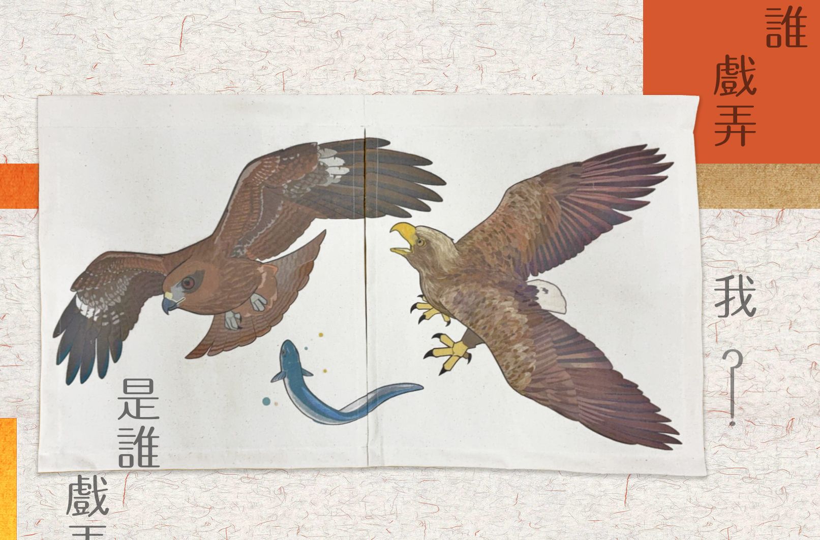 𝑛𝑒𝑤 黑鳶 vs.白尾海鵰《 是誰戲弄我？》